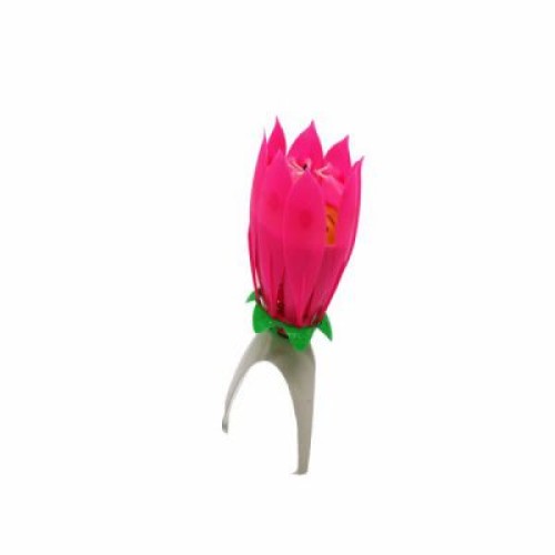 Musical Water Lily Candle | Candle & Stand | BIRTHDAY ITEMS at Sonamoni.com Musical Water Lily Candle | Candle & Stand | BIRTHDAY ITEMS at Sonamoni.com