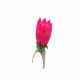 Musical Water Lily Candle | Candle & Stand | BIRTHDAY ITEMS at Sonamoni.com Musical Water Lily Candle | Candle & Stand | BIRTHDAY ITEMS at Sonamoni.com