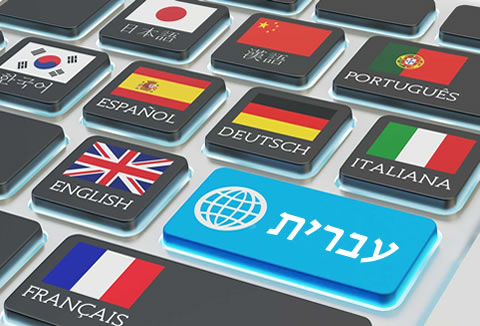 עברית / Hebrew-opencart עברית / Hebrew-opencart