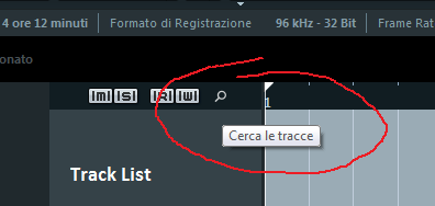 Ricerca Tracce Finestra Progetto project windows Cubase 7