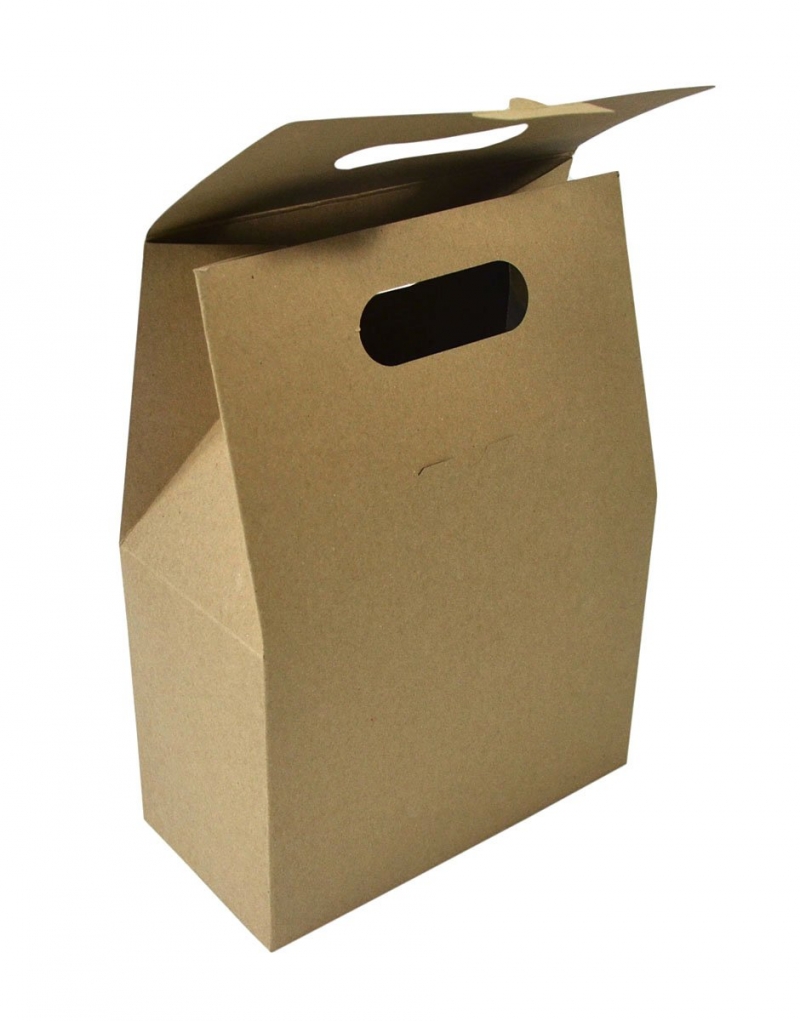 Коробка-пакет из экологичных материалов