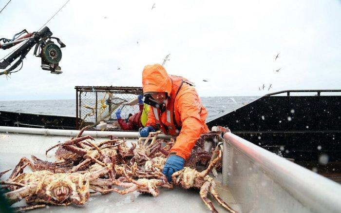 Предприятия Россоюзхолодпрома представили решения в области промышленного холодоснабжения для рыбопереработки на заседании рабочей группы Минпромторга