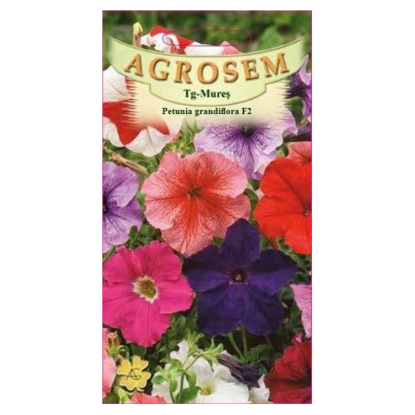 Petunia grandiflora F2 seminte - Petunia x hybrida grandiflora F2 Petunia grandiflora F2 seminte - Petunia x hybrida grandiflora F2
