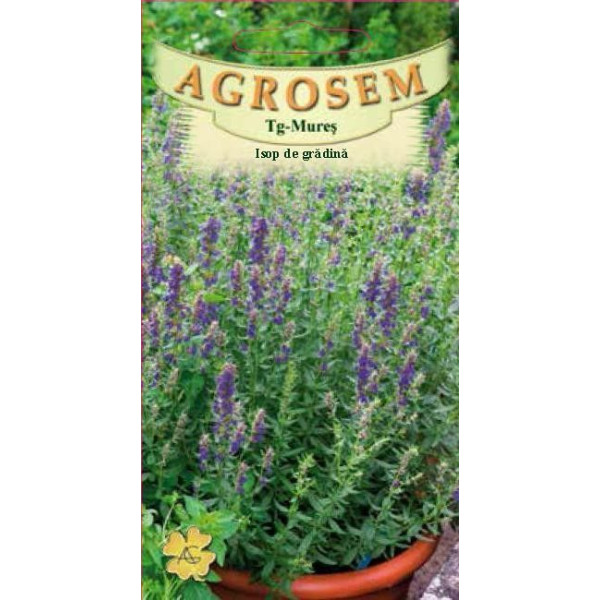 Isop de gradina seminte - Hyssopus officinalis Isop de gradina seminte - Hyssopus officinalis
