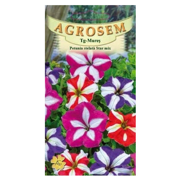 Petunia stelata seminte - AS - Petunia x hybrida compacta nana Star mix Petunia stelata seminte - AS - Petunia x hybrida compacta nana Star mix