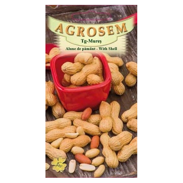 Alune de pamant seminte - Arachis hypogaea With Shell Alune de pamant seminte - Arachis hypogaea With Shell