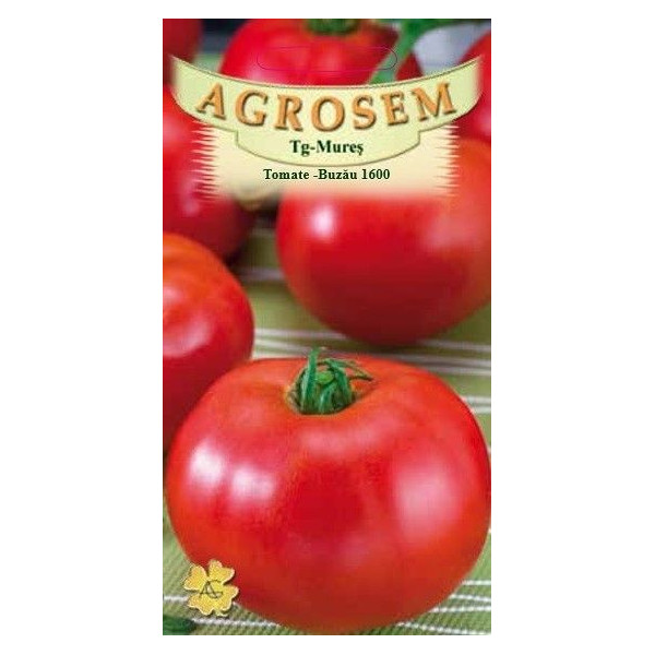 Tomate Buzau 1600 seminte - AS - Lycopersicon esculentum Tomate Buzau 1600 seminte - AS - Lycopersicon esculentum