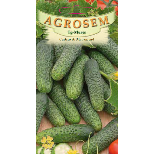 Seminte de Castraveti cornichon Mapamond - AS - Cucumis sativus Seminte de Castraveti cornichon Mapamond - AS - Cucumis sativus