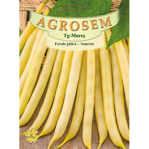 Seminte de Fasole pitica galbena Sonesta 50g - BigPack - AS - Phaseolus vulgaris var. nanus Seminte de Fasole pitica galbena Sonesta 50g - BigPack - AS - Phaseolus vulgaris var. nanus