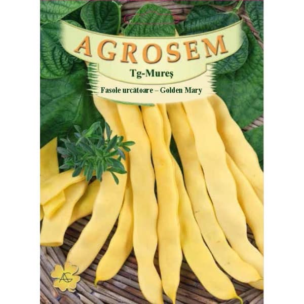 Fasole urcatoare galbena Golden Mary seminte BigPack - AS - 50g Fasole urcatoare galbena Golden Mary seminte BigPack - AS - 50g