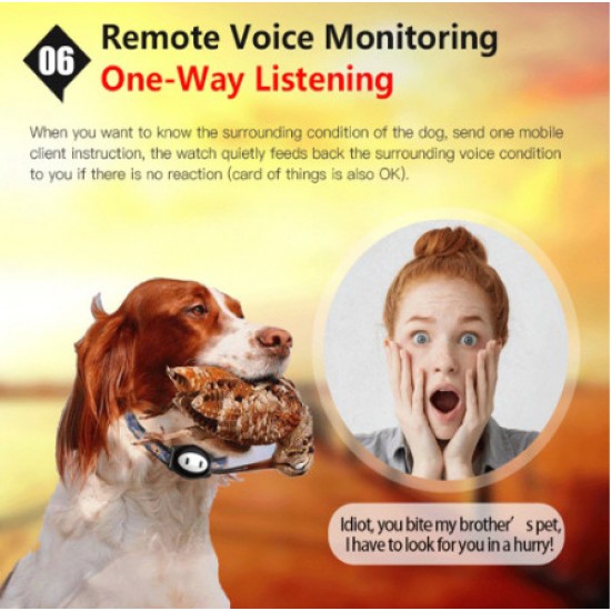 GPS tracker pre psy a mačky – výskyt, pohyb a odposluch zvukov z okolia