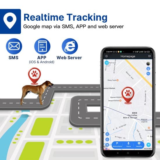 4G GPS tracker (GPS lokátor) pre psy – výskyt, pohyb, odposluch, ďiaľkové znelky a vibrácie