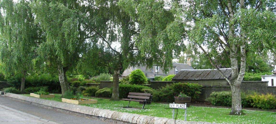 Community Garden