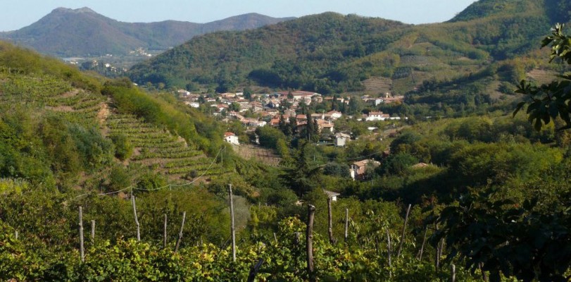 Area Archeologica del Monte Orbieso a Galzignano Terme