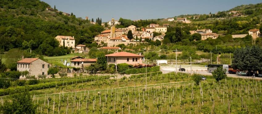 Archaeological Site of Fonteghe Place at Arquà Petrarca