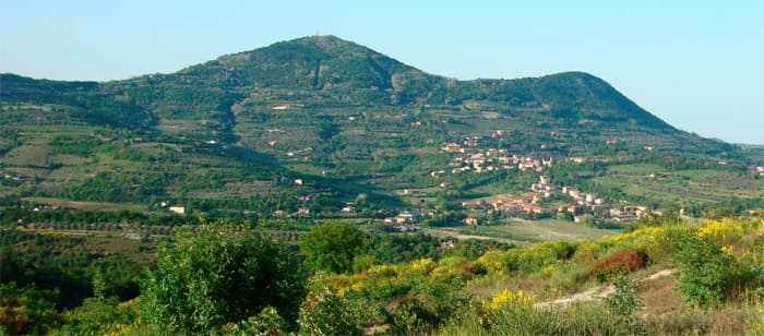 Archaeological Site of Le Contarine Place at Arquà Petrarca
