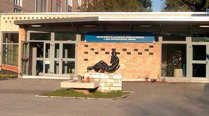 Collezione Ostetrica a Padova