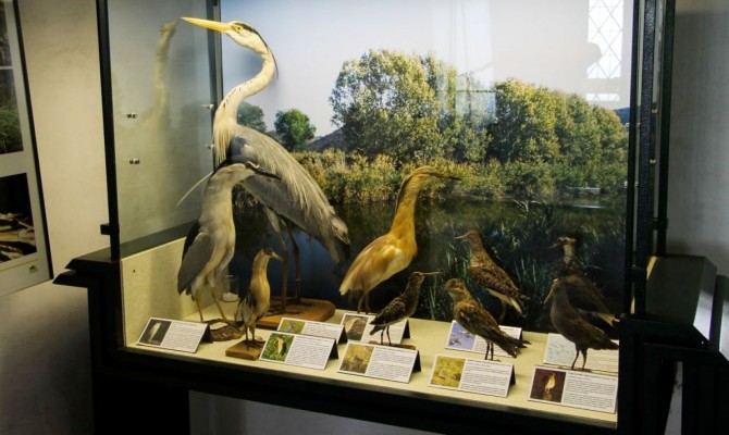 Museo Naturalistico dei Colli Euganei a Baone