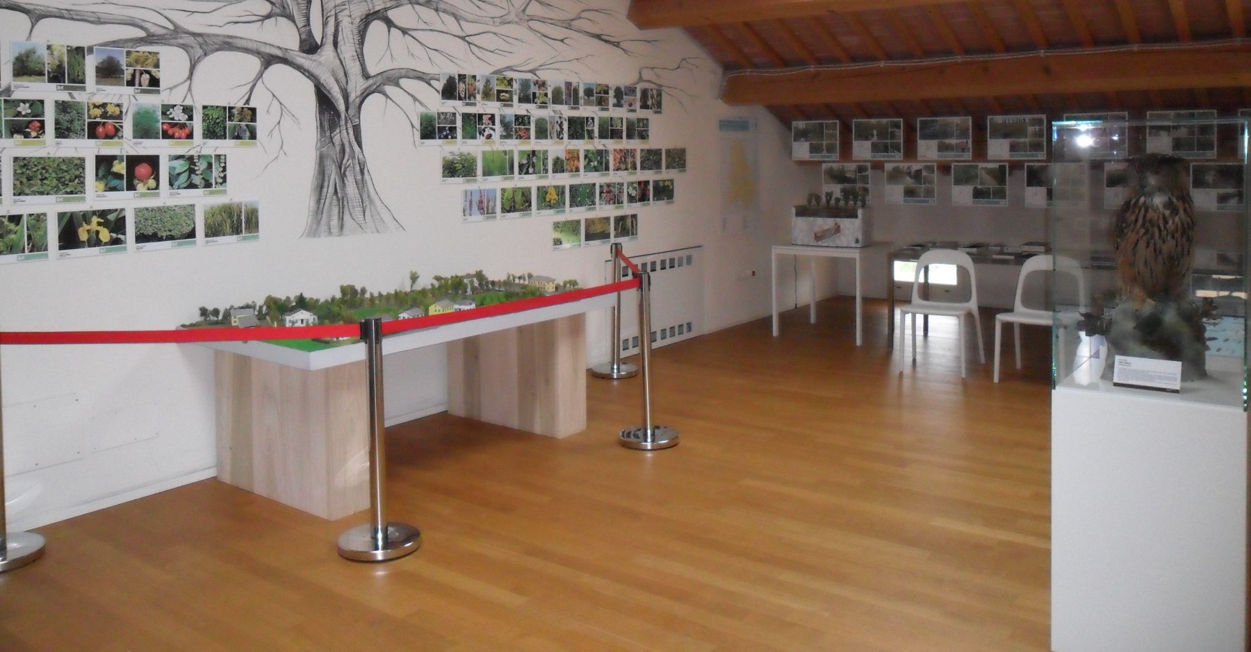 Museo delle Risorgive a San Pietro in Gu