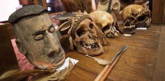Museo di Antropologia a Padova