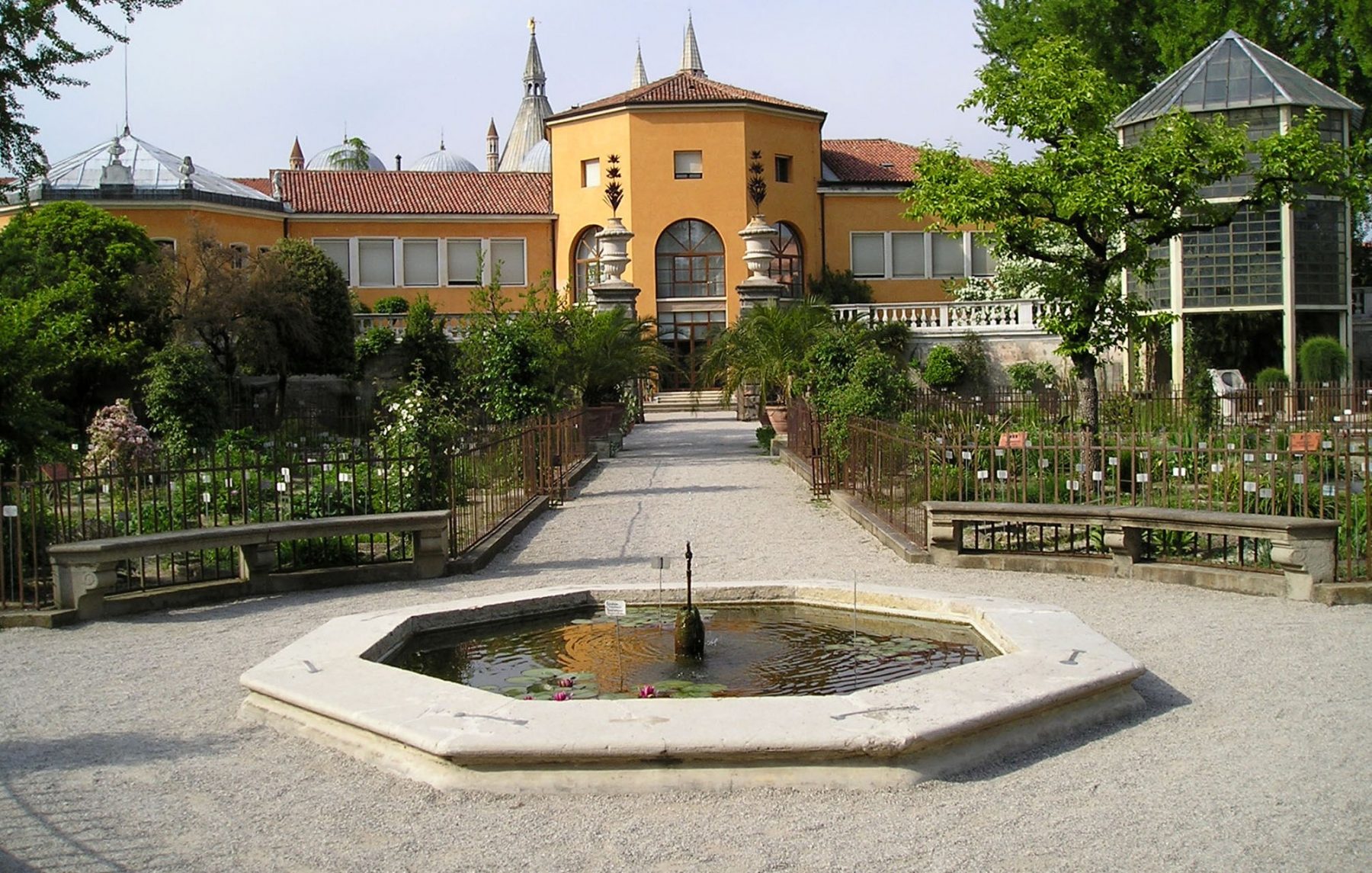 Botanical Garden at Padua