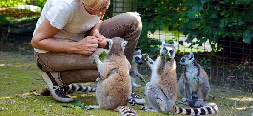Tierpark Valcorba