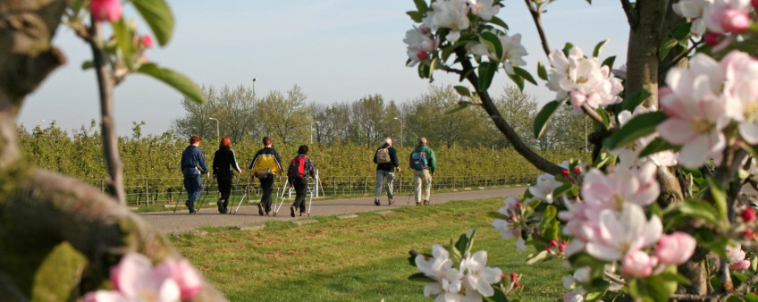 Caminada delle Terme
