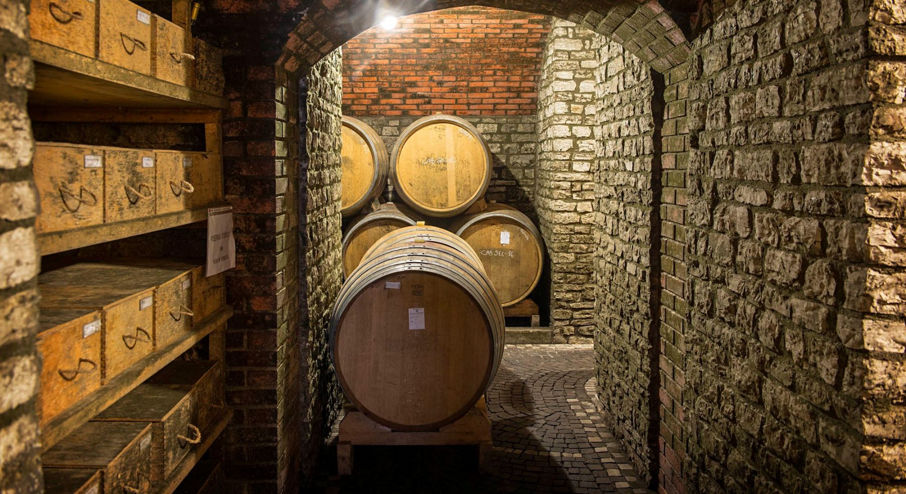 Cantine Aperte sui Colli Euganei