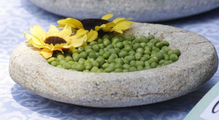 Festa dei Bisi a Baone