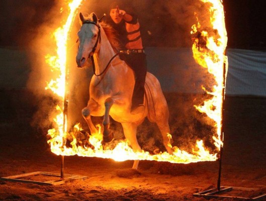 Festa del Cavallo a Legnaro