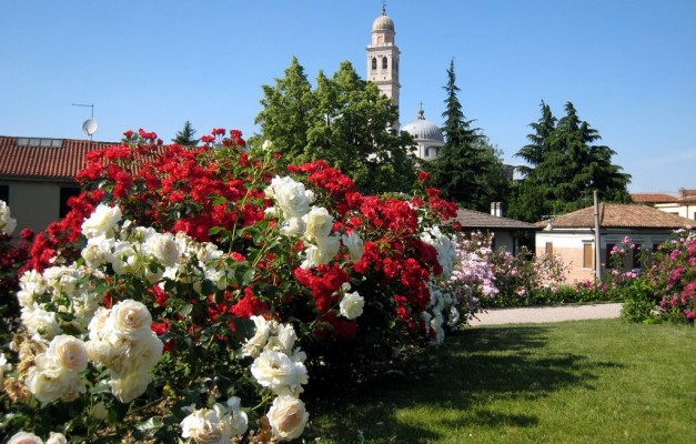 Roseto di Santa Giustina a Padova