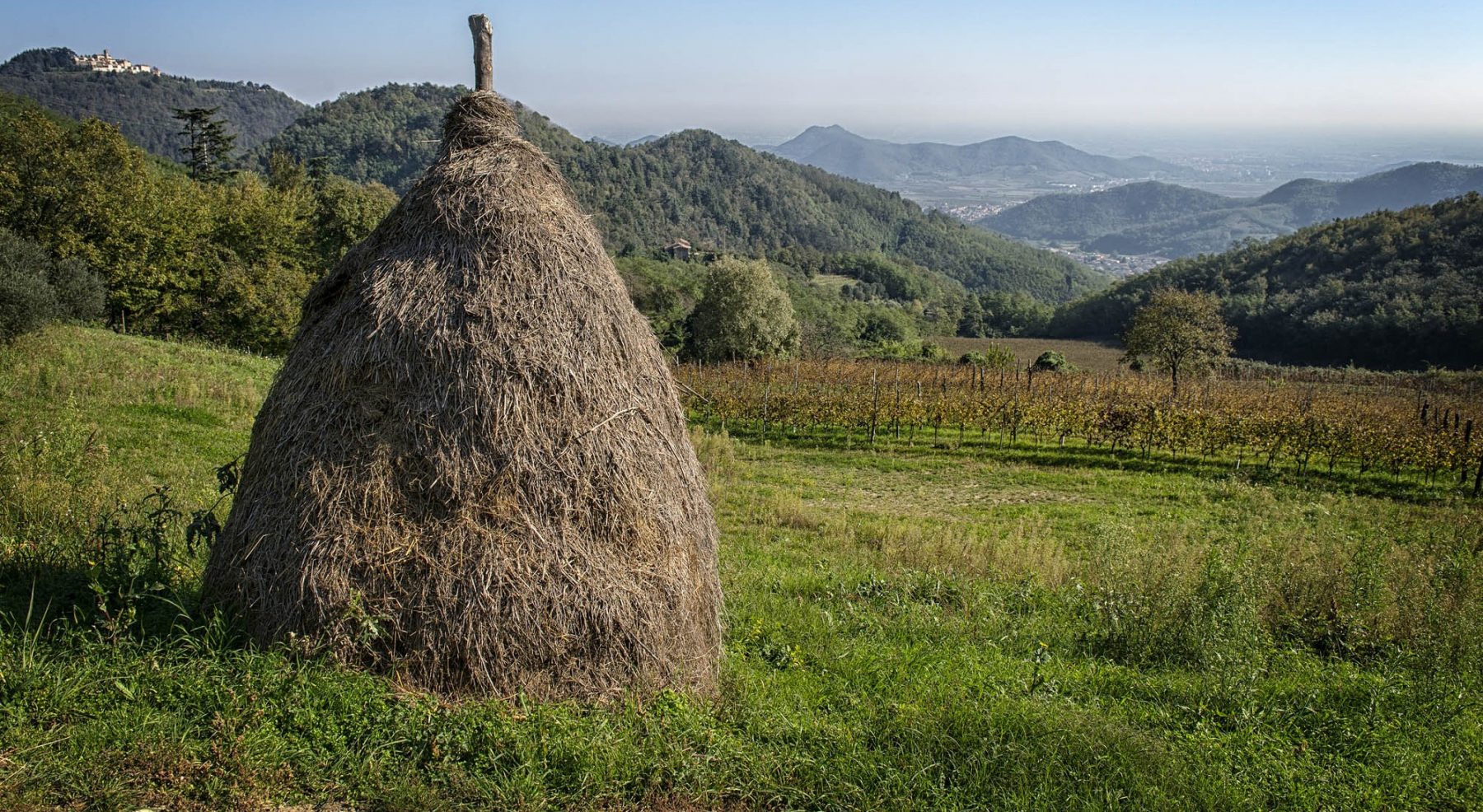 EstaRte a Galzignano Terme