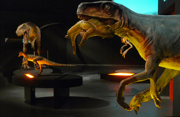 Mostra “Dinosauri. Giganti dall'Argentina” a Padova