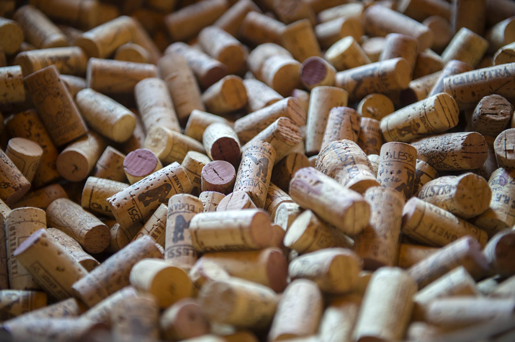 Vinitaly a Verona