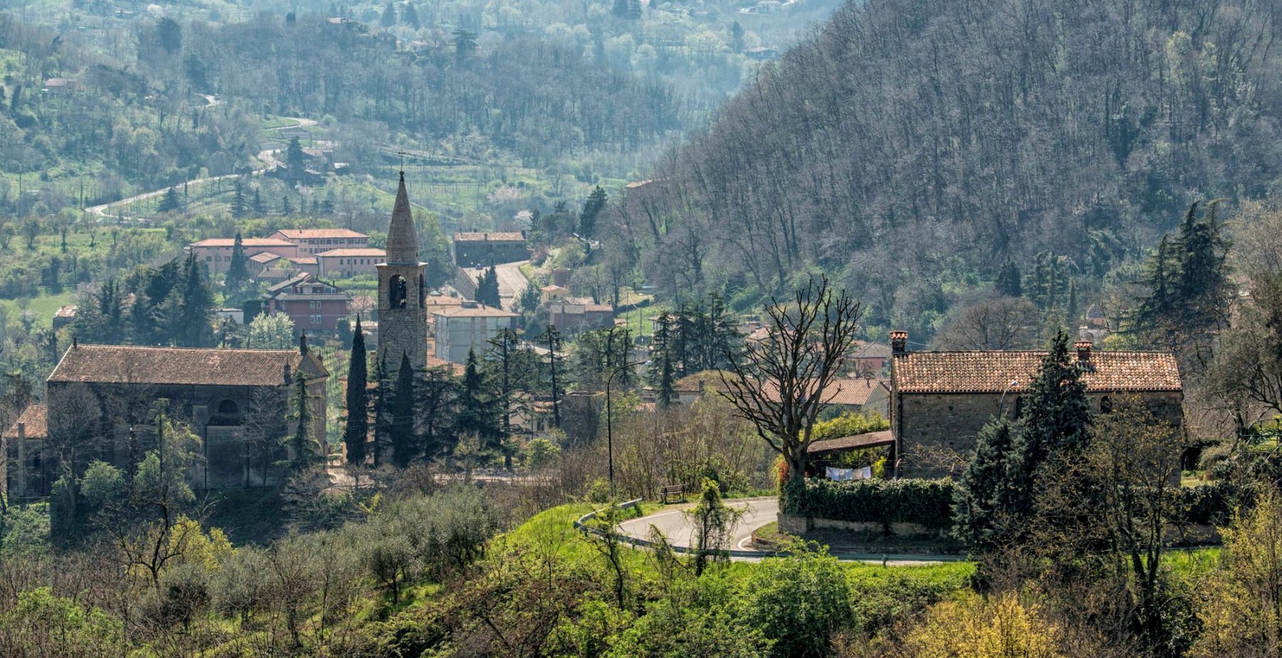 Teolo Estate