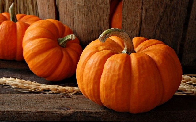 Happy Halloween a Montegrotto Terme
