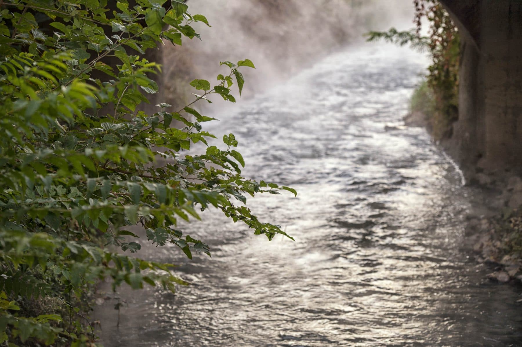 Origini dell'Acqua Termale