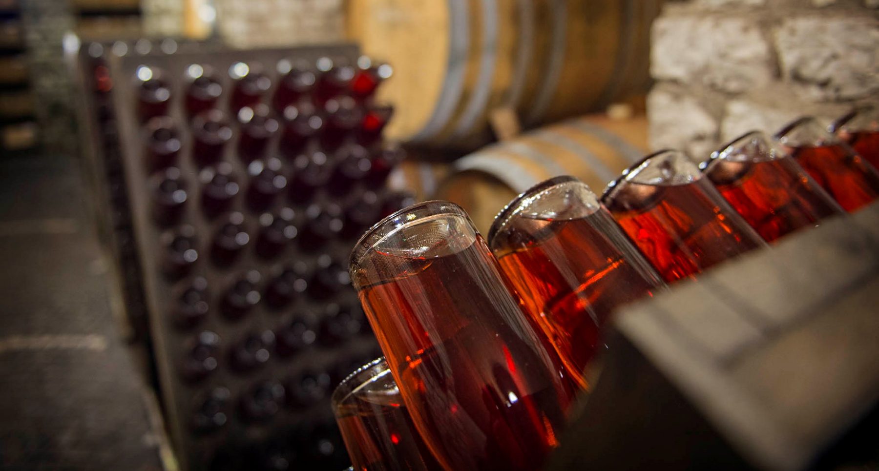Vini dei Colli Euganei
