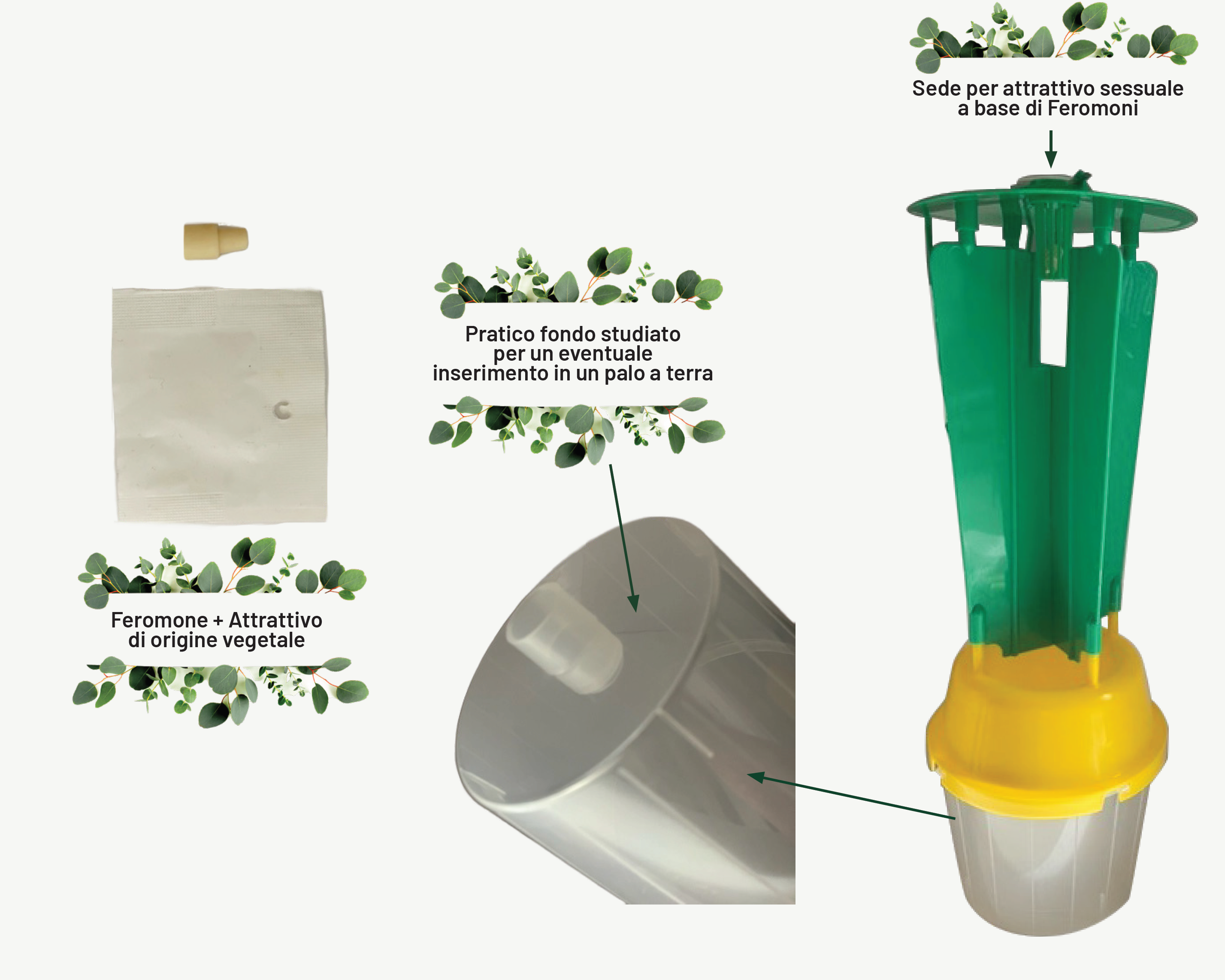 Trappola per Popillia Japonica
