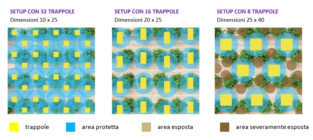 usare le colle entomologiche