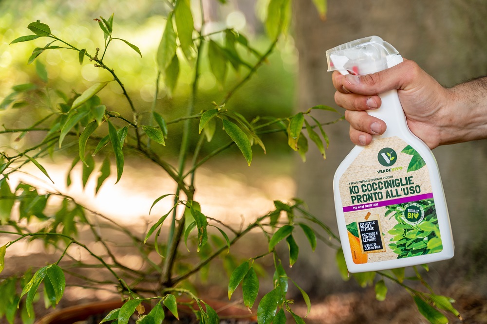 Olio di Soia sulle piante