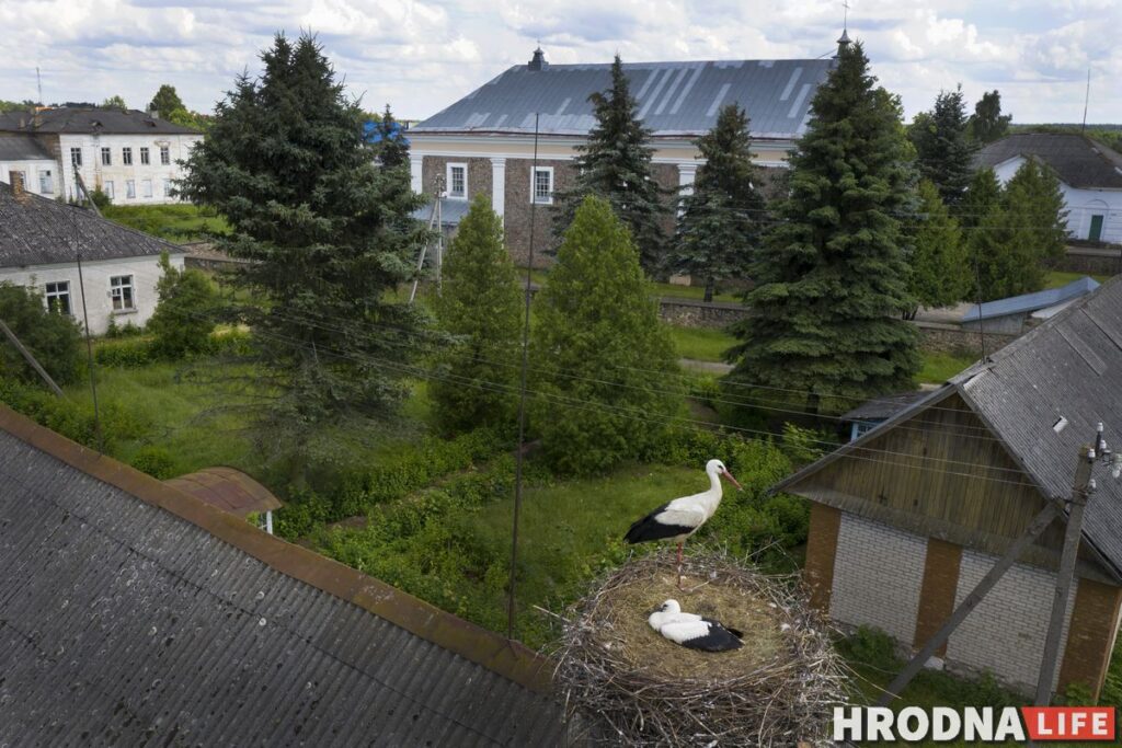 Каліноўскі, скарб Талочкаў і кавалачак Брэстчыны: 10 месцаў паміж Свіслаччу і Зэльвай – за 1 дзень