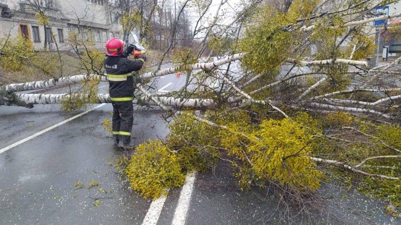 Пацярпелі 19 населеных пунктаў: глядзіце фота, што моцны вецер пашкодзіў у Гродзенскай вобласці за выхадныя