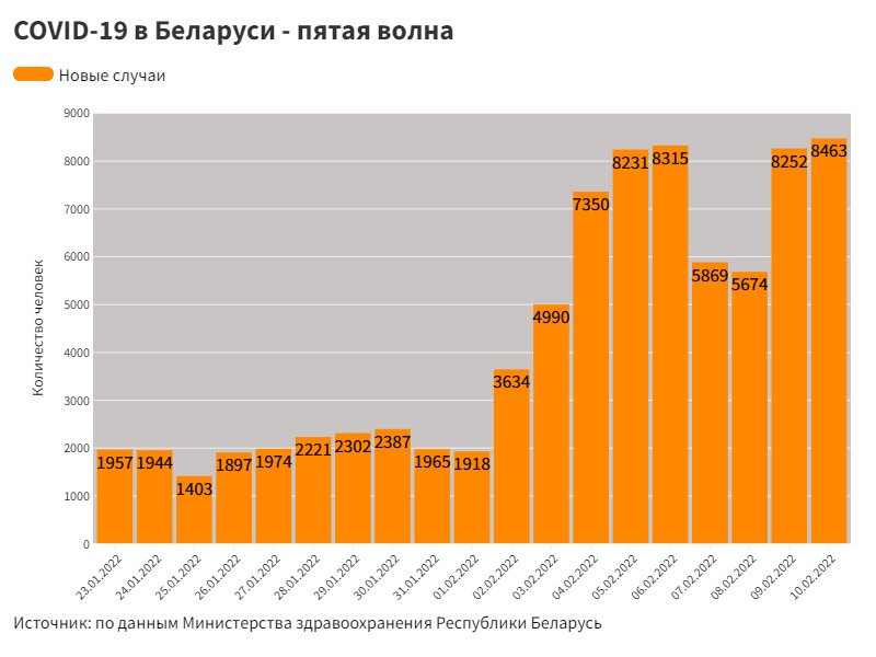 “Даслалі ратаваць сусвет”. Гродзенскія студэнткі распавялі, як працуюць у паліклініцы і чаму не адпраўляюць на тэсты