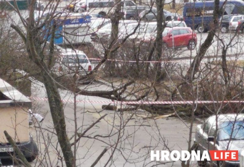 Без электрычнасці засталося восемь населеных пунктаў. Што моцны вецер яшчэ пашкодзіў на Гродзеншчыне
