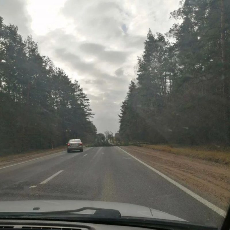 Без электрычнасці засталося восемь населеных пунктаў. Што моцны вецер яшчэ пашкодзіў на Гродзеншчыне