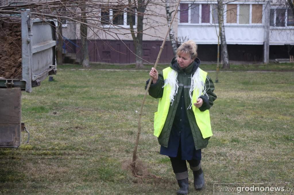 озеленение