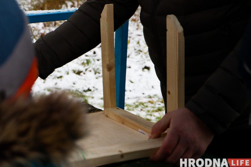 Не кормить, а подкармливать. 8 видов кормушек и чек-лист по еде для птиц от орнитологов