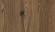 Ламинированные двери Лиственница горная коричневая термо H3408