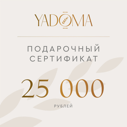 Подарочный сертификат на 25 000 RUB